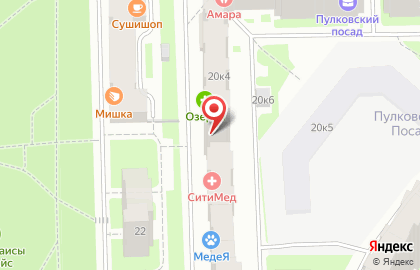 Автоматизированный пункт выдачи товаров TelePort на Пулковском шоссе на карте