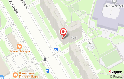 Зоомагазин Дельфинчик на Комендантском проспекте на карте