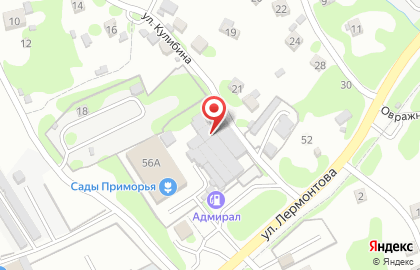 Магазин Сады Приморья на улице Лермонтова на карте