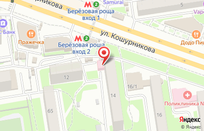 Муниципальная Новосибирская аптечная сеть на улице Кошурникова на карте