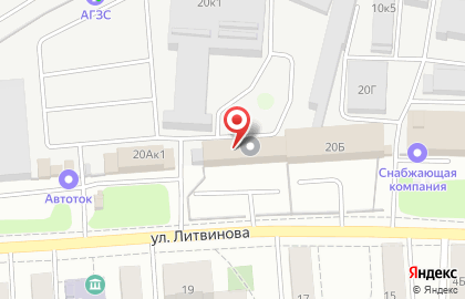 Камелия на улице Литвинова на карте