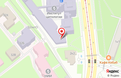 Институт цитологии РАН на карте