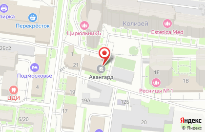 Школа единоборств Авангард на карте