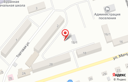 Продовольственный магазин на улице Мичурина на карте