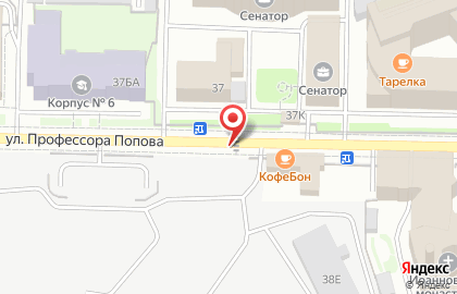 Служба экспресс-доставки Сдэк на улице Профессора Попова на карте
