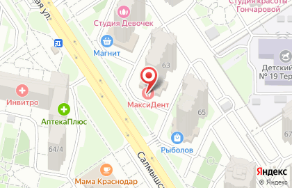 Стоматология МаксиДент на Салмышской улице на карте