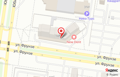 Санитарная служба SosSes в Тольятти на карте