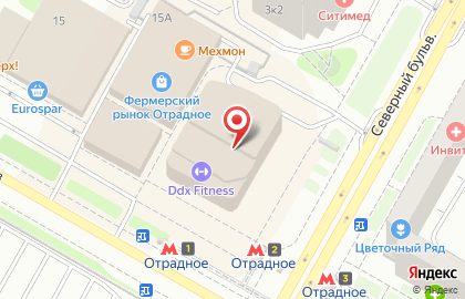 Русский Танцевальный Клуб на метро Отрадное на карте