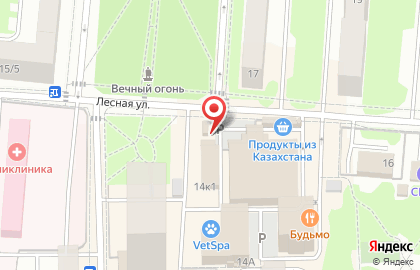 Кабинет LPG-массажа на Лесной улице на карте