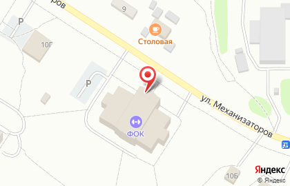 Спортивные объекты на улице Механизаторов на карте