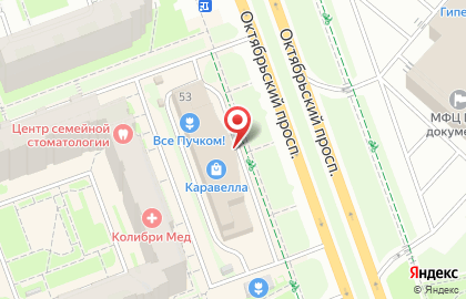Садовый центр РозМарин на Октябрьском проспекте на карте