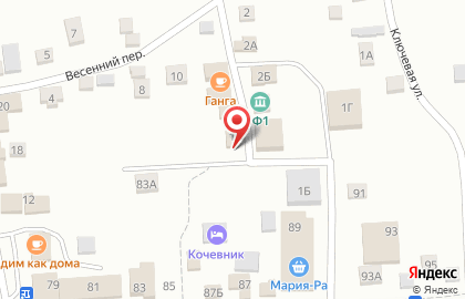 Ветеринарная аптека Суртаев В.М. на улице Мичурина на карте