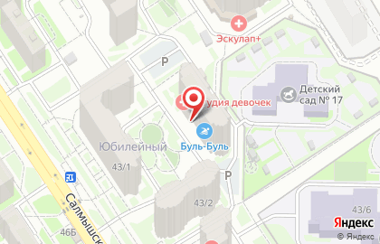 Центр раннего плавания Буль-Буль на Салмышской улице на карте