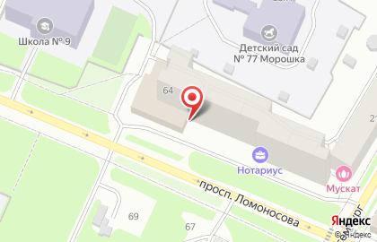 Магазин товаров для маникюра top Nail Shop на проспекте Ломоносова на карте