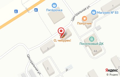 Магазин Полянка на Центральной улице на карте