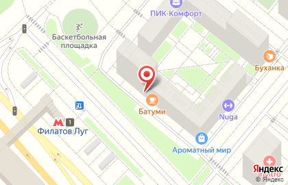Сервисный центр Pedant.ru на метро Филатов Луг на карте