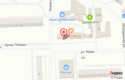 Магазин хозяйственных товаров на Новой улице на карте