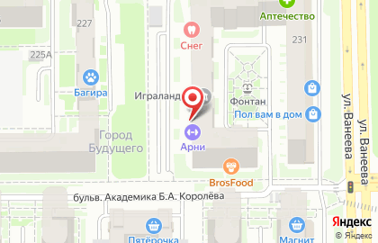Компания по обслуживанию автокондиционеров, ИП Шапкин И.Б. на улице Ванеева на карте