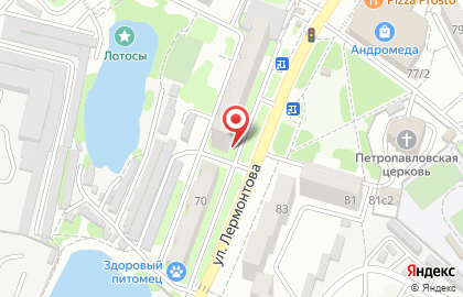 Медицинская лаборатория ТАФИ-Диагностика на улице Лермонтова на карте