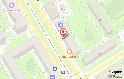 Енот на улице Новочеркасский на карте