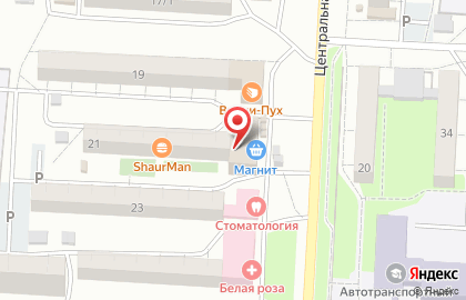 Магазин Аннушка на Центральной улице на карте