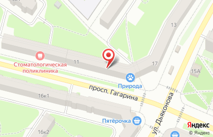 Зоомагазин Природа, зоомагазин на проспекте Гагарина на карте