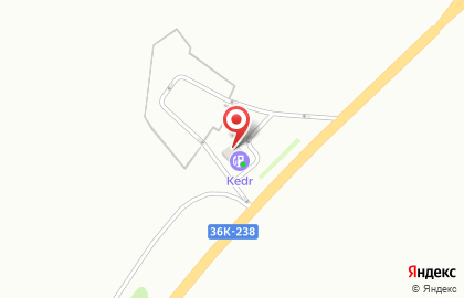 Кедр-самара в переулке З.Космодемьянской на карте