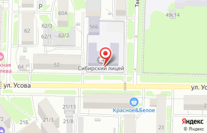 Сибирский лицей на карте