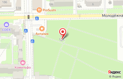 Пейнтбольно-страйкбольный клуб Poligon на Молодёжной улице на карте