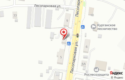 Магазин Темное и Светлое на Лесопарковой улице на карте