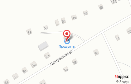 Продовольственный магазин Надежда на Центральной улице на карте