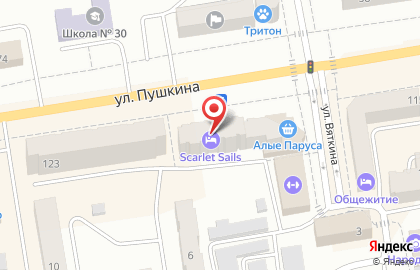 Салон Оптика плюс на улице Пушкина на карте