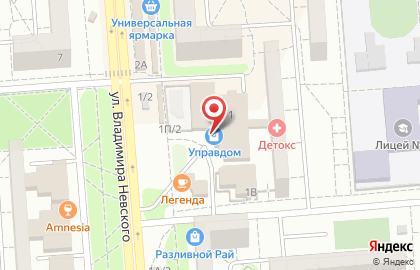 Магазин напольных покрытий и дверей Управдом на улице Владимира Невского на карте