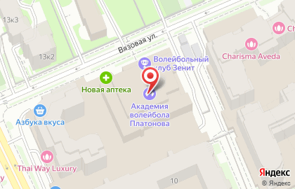 Ариал-шар на Вязовой улице на карте