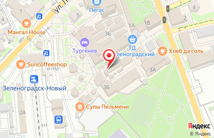 Пекарня Русский хлеб на улице Тургенева на карте