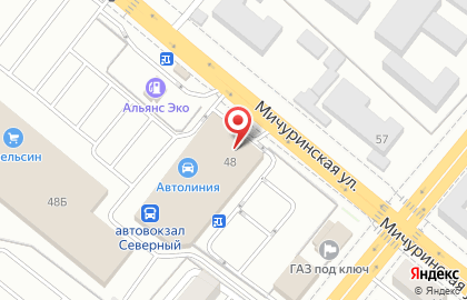 ООО Технопарк на Мичуринской улице на карте