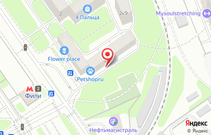 Библиотека №213 им. Леси Украинки на Новозаводской улице на карте