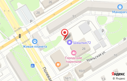 Автомойка Дельфин на Полевой улице на карте