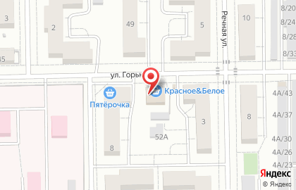 Первая дезинфекционная компания на улице Горького на карте