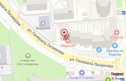 Ветеринарная клиника Ирбис на улице Генерала Лизюкова на карте