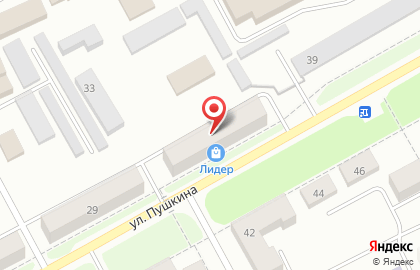 Магазин электроники и бытовой техники Лидер, магазин электроники и бытовой техники на улице Пушкина на карте