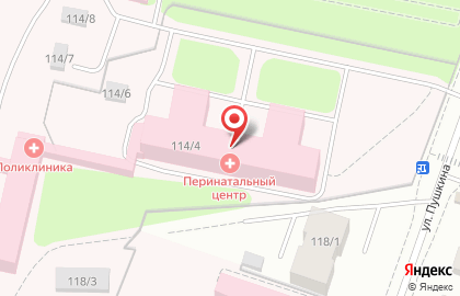 Коми республиканский перинатальный центр на улице Пушкина на карте