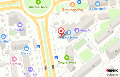 Киоск фастфудной продукции на проспекте Космонавтов на карте