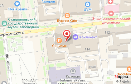 Шашлычный двор на улице Дзержинского на карте