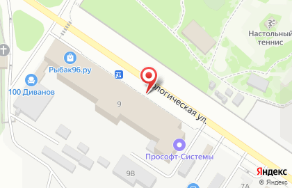 Прософт Биометрикс на карте