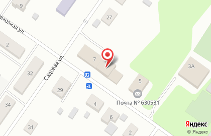 Магазин хозяйственных товаров на Совхозной улице в поселке Садовом на карте