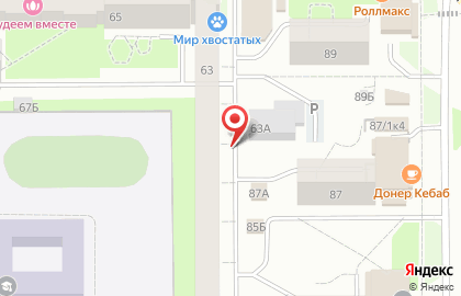 Светлана на улице Репина на карте