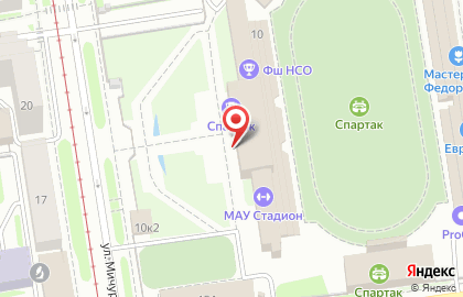 Катки г. Новосибирска в переулке Мичурина на карте