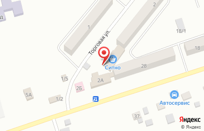 Продовольственный магазин на Торговой улице на карте