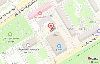 Магазин сантехники Флагман на улице Владимира Ленина на карте